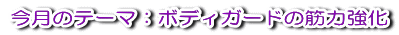 �����̃e�[�}�F�{�f�B�K�[�h�̋ؗ͋���
