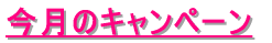今月のキャンペーン 