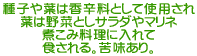 種子や葉は香辛料として使用され 葉は野菜としサラダやマリネ 煮こみ料理に入れて 食される。苦味あり。 